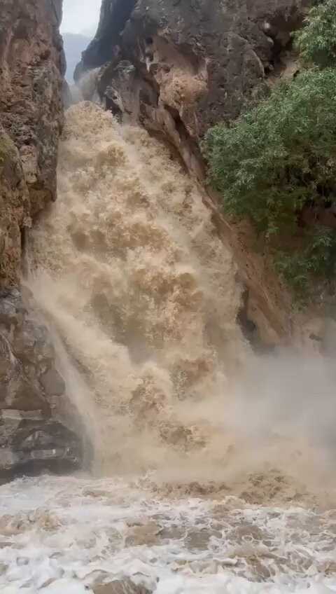 8mMGkomMDGfnOM7 .jpg