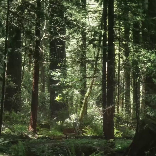 U8nXirjy3KnmY gF.jpg