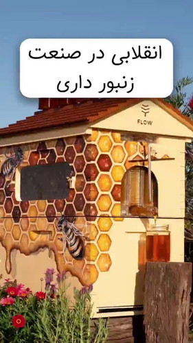 lMWd0i4lkq 8mJvi.jpg