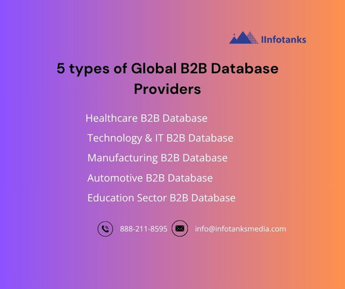5 types of Global B2B Database Providers.jpg