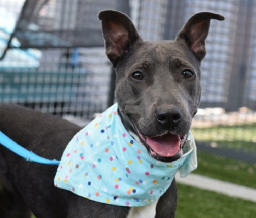 GsJVEFMXcAE8 Rk?format=jpg.jpg