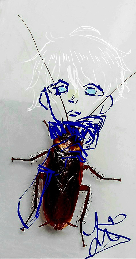 bigstock American Cockroach 48025229.jpg
