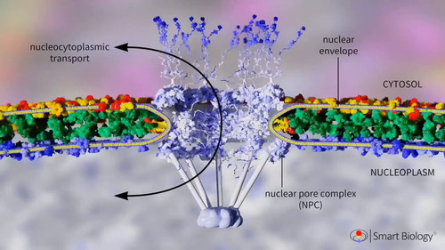 SEKJbsGl mGf dPe.jpg