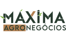 Logo 7