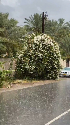 tau6swG7l2j2x 9R.jpg