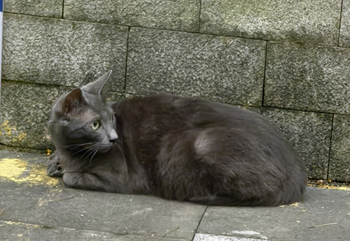 IMG 20250608 181004.jpg