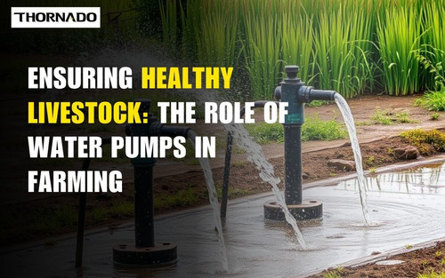 Ensuring healthy LiveStock.jpg