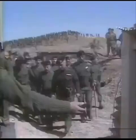 NTBk0Y4krrwtiXu6.jpg