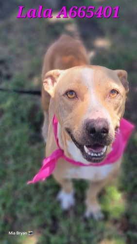 GsO5a7WXQAEzep ?format=jpg.jpg