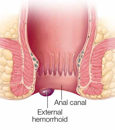 Gastroenterologist.jpg