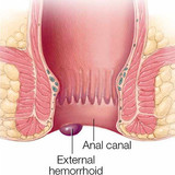 Gastroenterologist