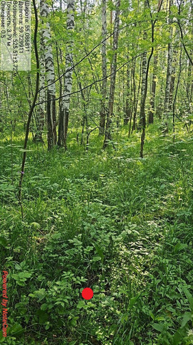 photo 18 2025 06 10 08 54 32.jpg