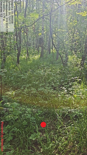 photo 25 2025 06 10 08 54 33.jpg