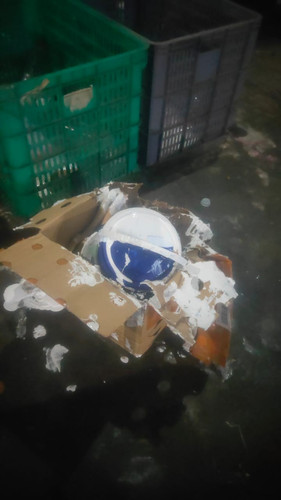 WhatsApp Image 2025 06 09 at 04.15.47.jpg