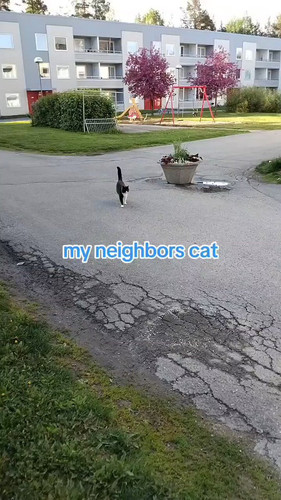 sw7zHN G5Wvrz UZ.jpg