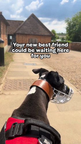 wpuF1Y91 WXTJUgZ.jpg