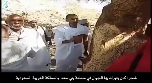 Y5V4Hb ufKn8XSTW.jpg