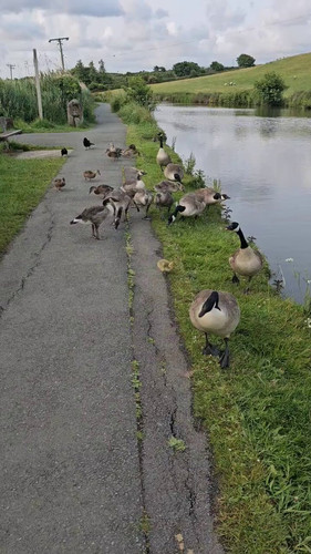 1CZVe OpWsOadmkA.jpg