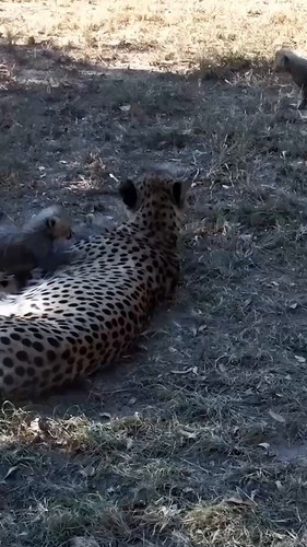 E2DM WUev KH2tYP.jpg