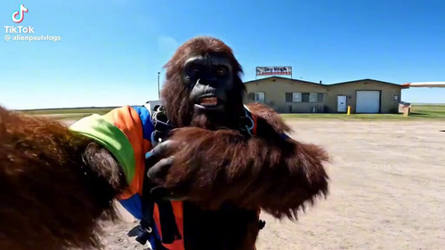 O1 Vd64HtykGdhtt.jpg