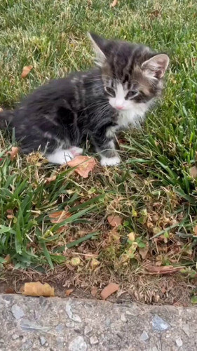 lr9S0DVU vt2Lfzz.jpg