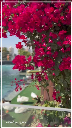 ITTusOmT6r ukiiJ.jpg