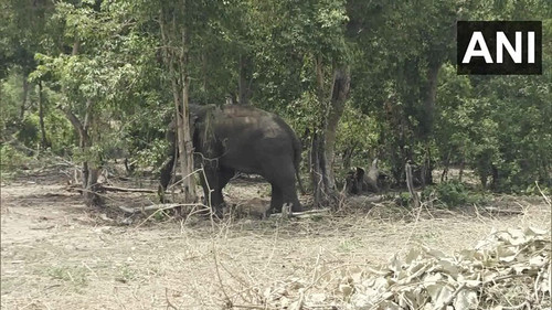 6wzK0EtM6s pwB1h.jpg