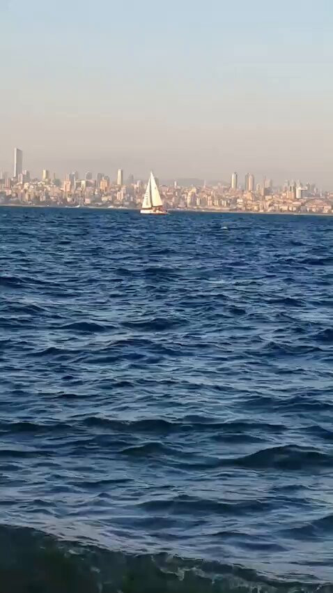 szsd5GULqj uMfdW.jpg