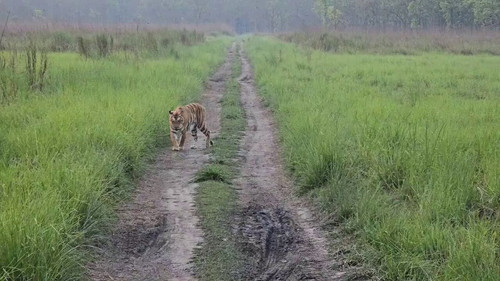 YUdKi 2JM kLsB71.jpg