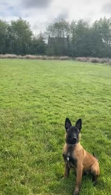 uI yzIyxvm8mmVWQ.jpg