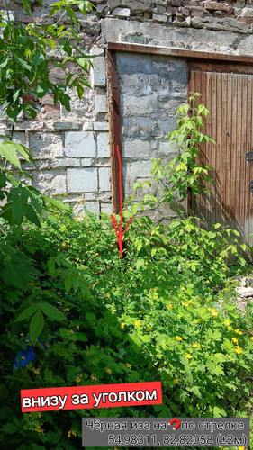 Чёрная иза на🧲по стрелке 54,98311, 82,82058 09062025 123253.jpg