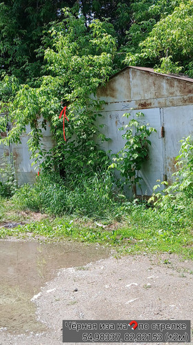 Чёрная иза на🧲по стрелке 54,98337, 82,82153 09062025 125734.jpg