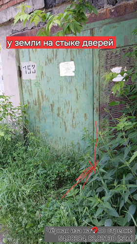 Чёрная иза на🧲по стрелке 54,98284, 82,82130 09062025 125253.jpg