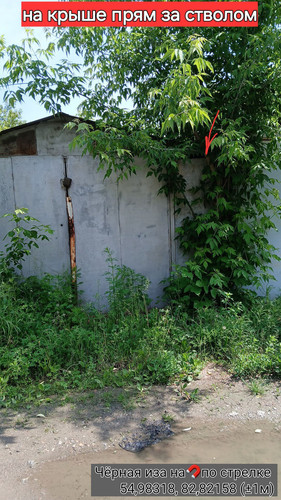 Чёрная иза на🧲по стрелке 54,98318, 82,82158 09062025 125922.jpg