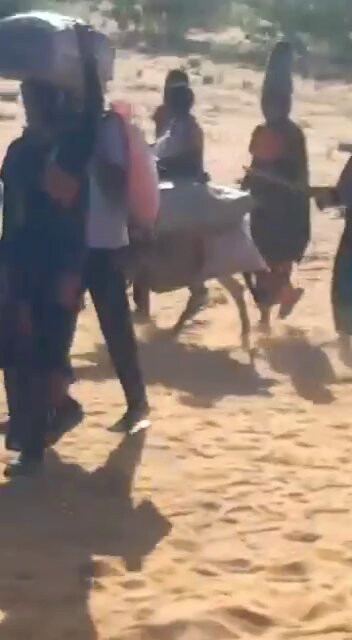 o5Y4JggXuwt Pk60.jpg