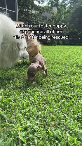 hB3PiAQPeC O3rb1.jpg