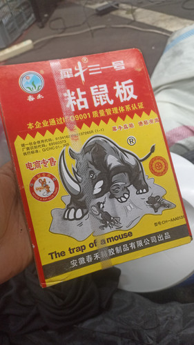 WhatsApp Image 2025 06 10 at 10.54.07.jpg