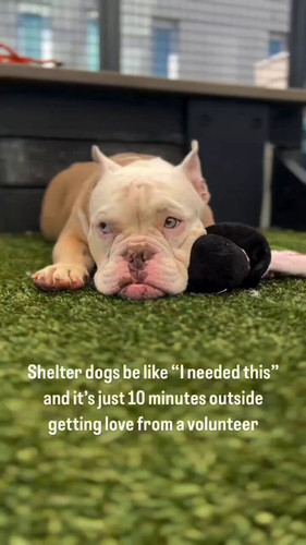 gp ElctXayyAtKsq.jpg