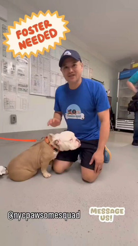 Hzn542L E0B71 j2.jpg