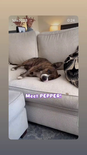 HXdsH myDBMr9A0M.jpg