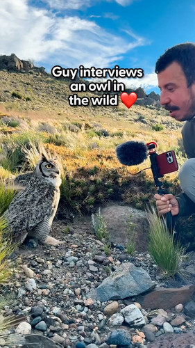 zKoF AHCrCHMOK8C.jpg