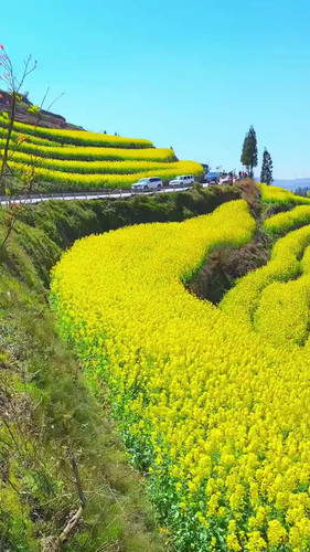 oqHda TtEpQCAe6B.jpg