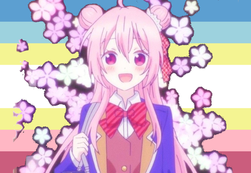 Untitled208 20250609001257