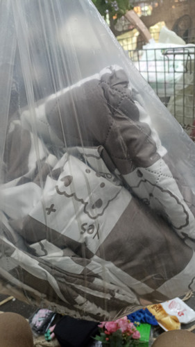 WhatsApp Image 2025 06 09 at 11.57.51.jpg