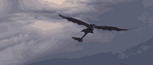 httyd flying.gif