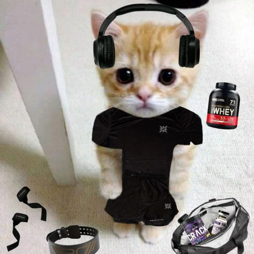 SILLYWILLY999.jpg