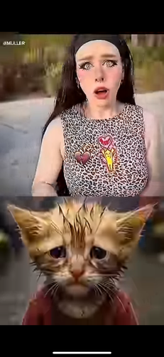 images%2Fimage 1749493400446.png