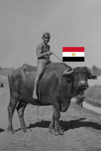 Gs3JgGWWAAA6KWA?format=jpg.jpg