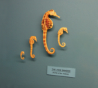 1ec6cbbb3421.png