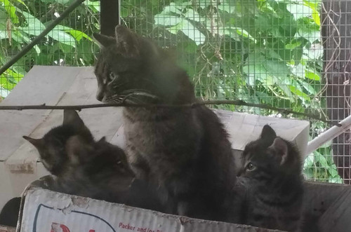 494820881 1221689022935180 1303998455889859650 n.jpg